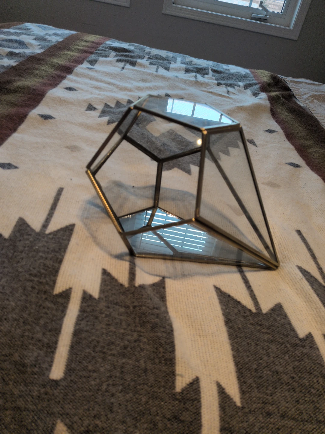 🥕 Geometric Glass Terrarium