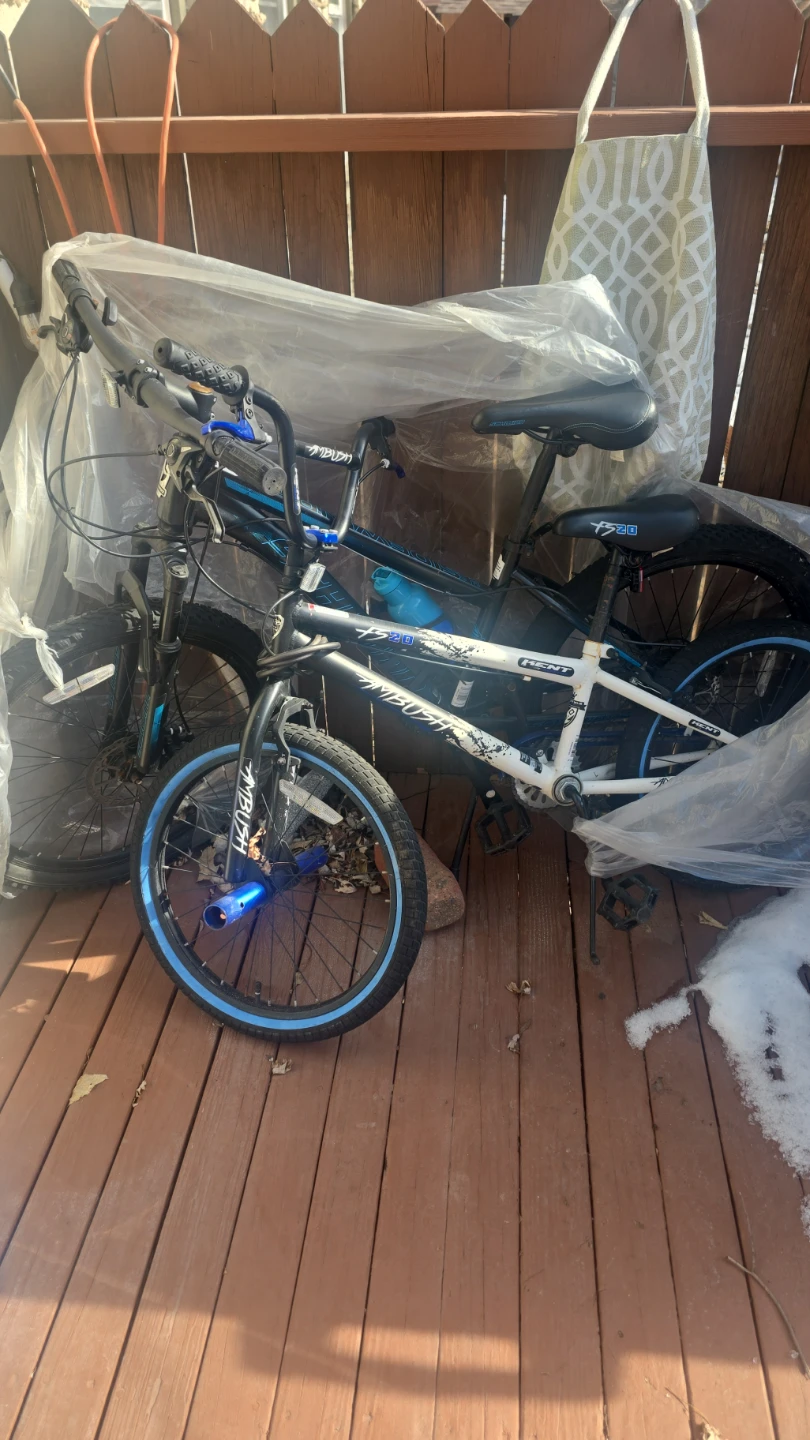 Kent Ambush FS20 BMX Bike