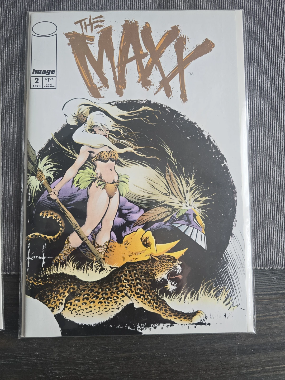 The Maxx Comic Books Lot (Issues 1-3) - photo 3