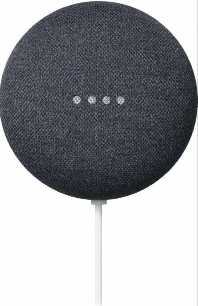 Google Nest Mini (Charcoal)