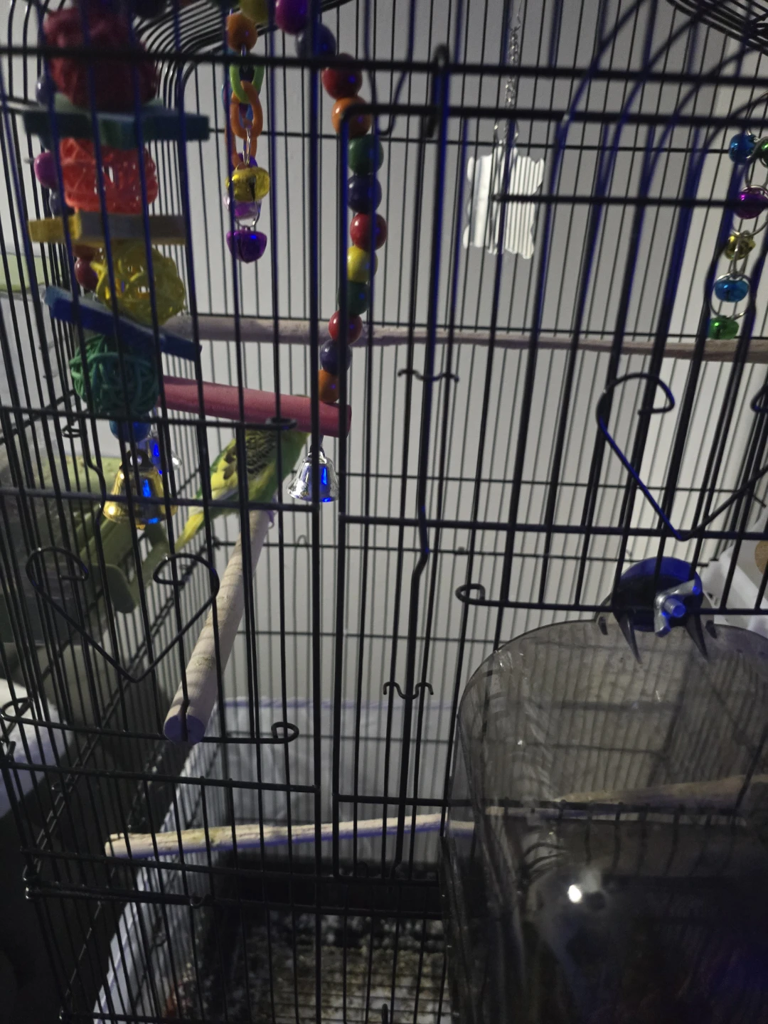 Bird Cage with Toys and Perches