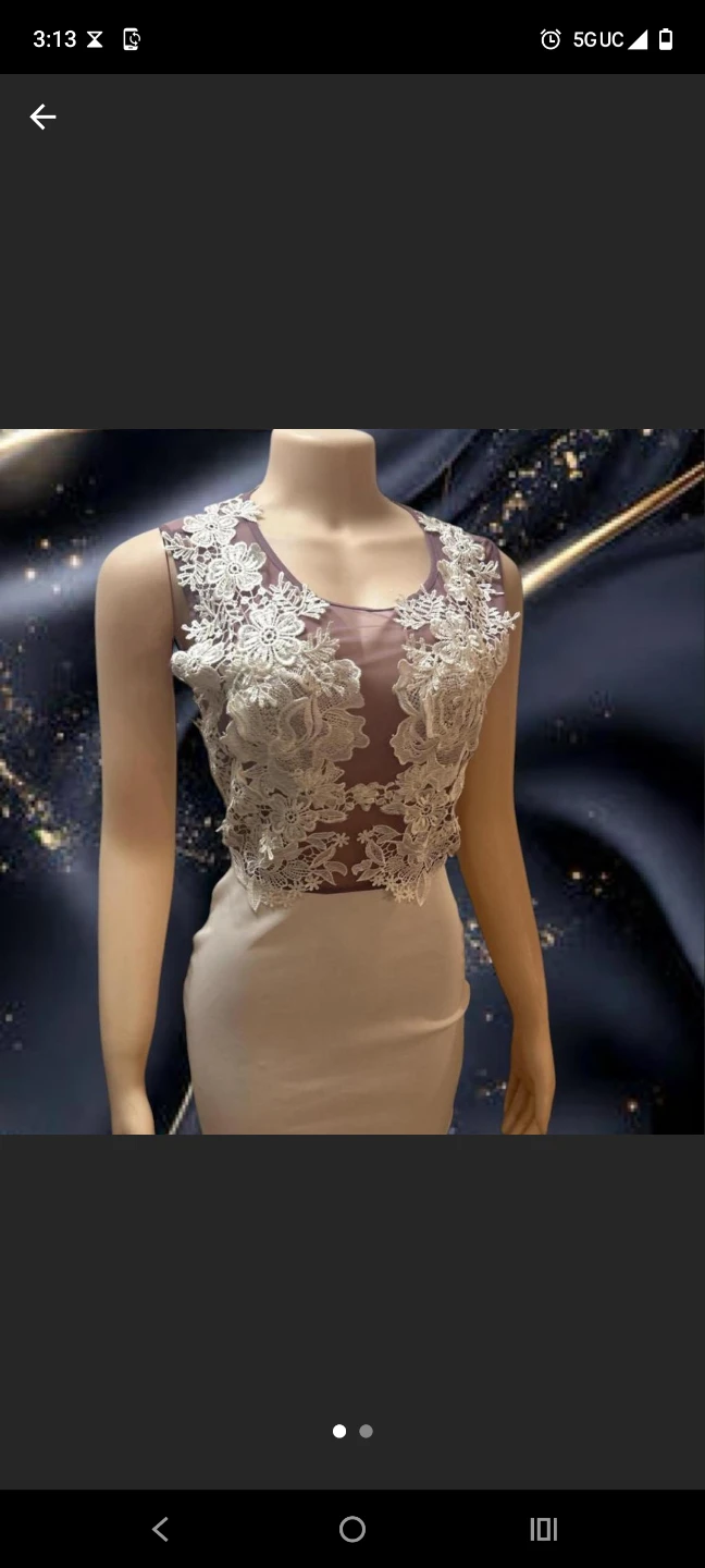 White Lace Overlay Sheer Neckline Dress