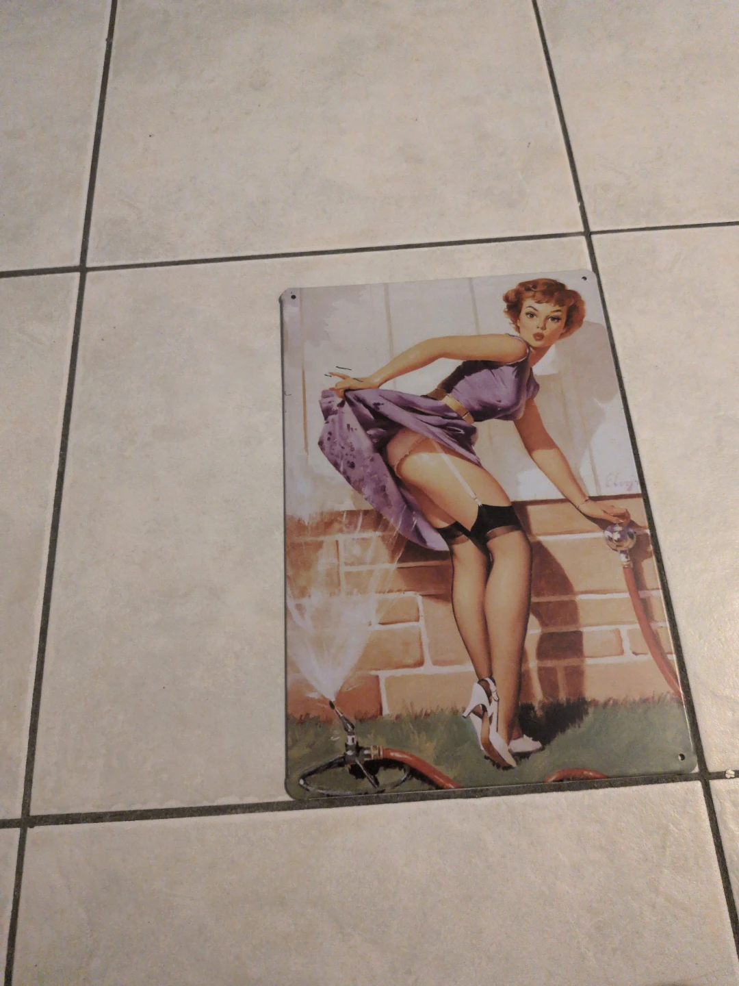 Vintage Pin-Up Metal Sign