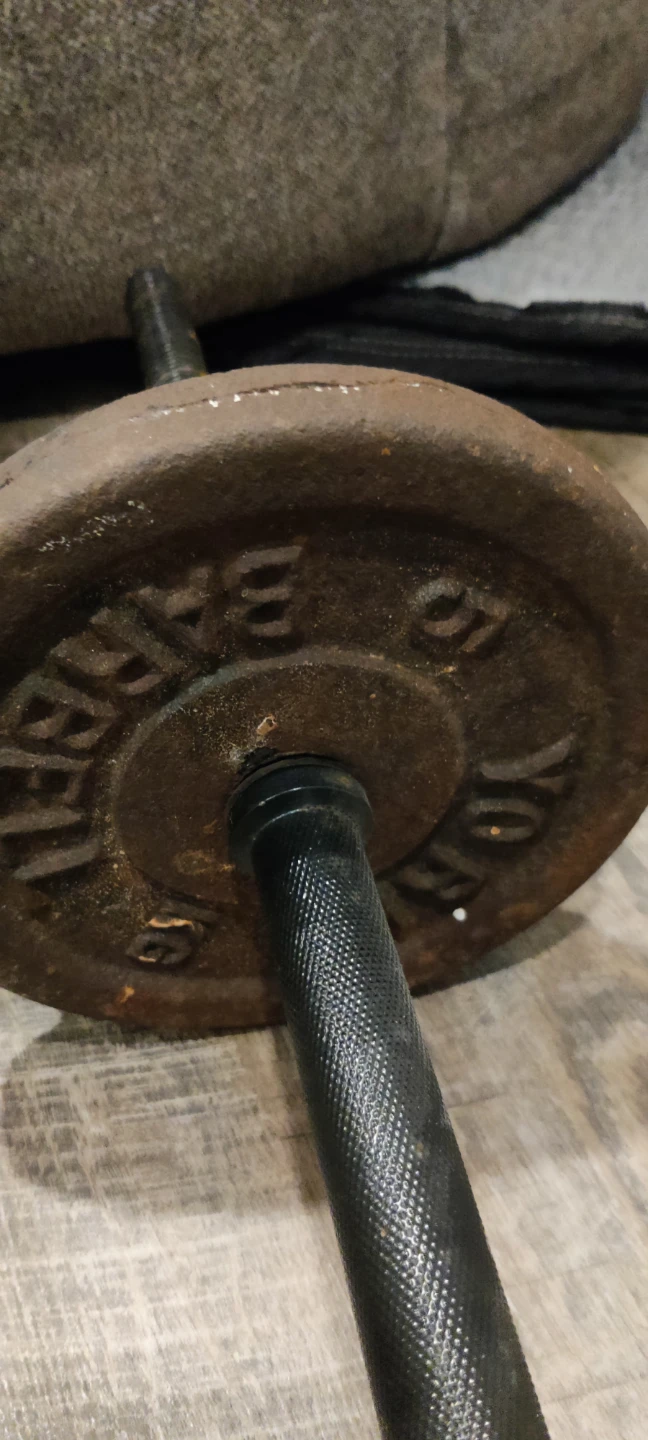 Barbell 10kg plates (22 lb) - photo 3