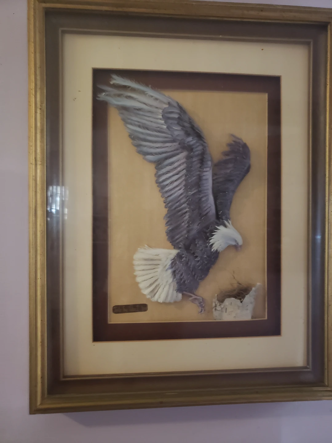 Framed Bald Eagle Wall Art