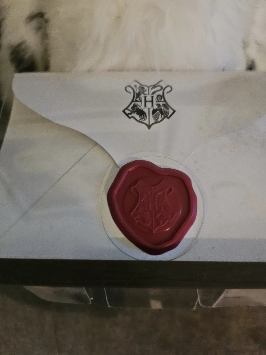 Harry Potter Hogwarts Acceptance Letter with Hedwig Plush