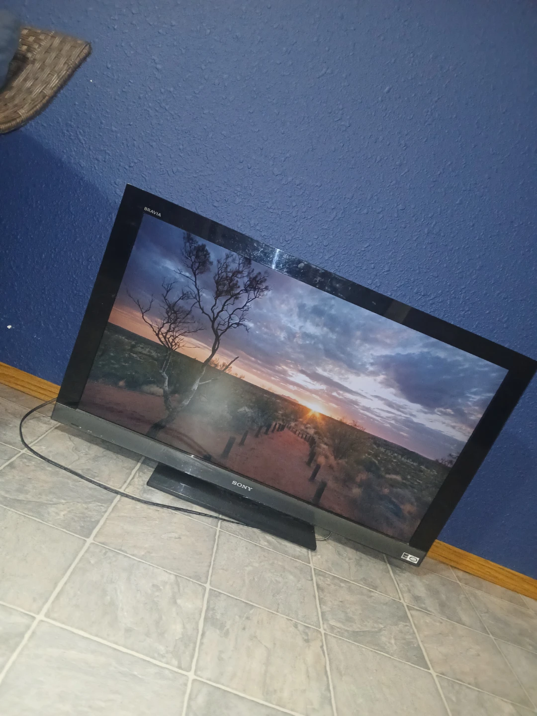 Sony Bravia TV - photo 2