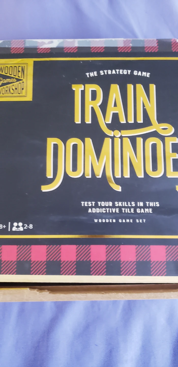 Dominoes Game Set
