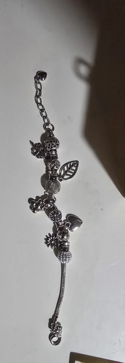 Charm Bracelet with Silver-Tone Charms - photo 3