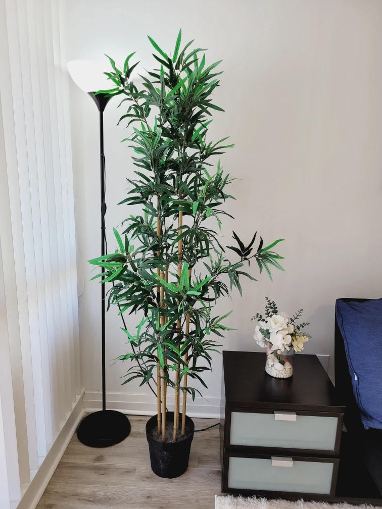 Bamboo tree