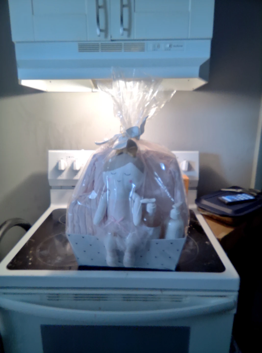 Baby Gift Basket with Plush Toy and Toiletries - photo 2