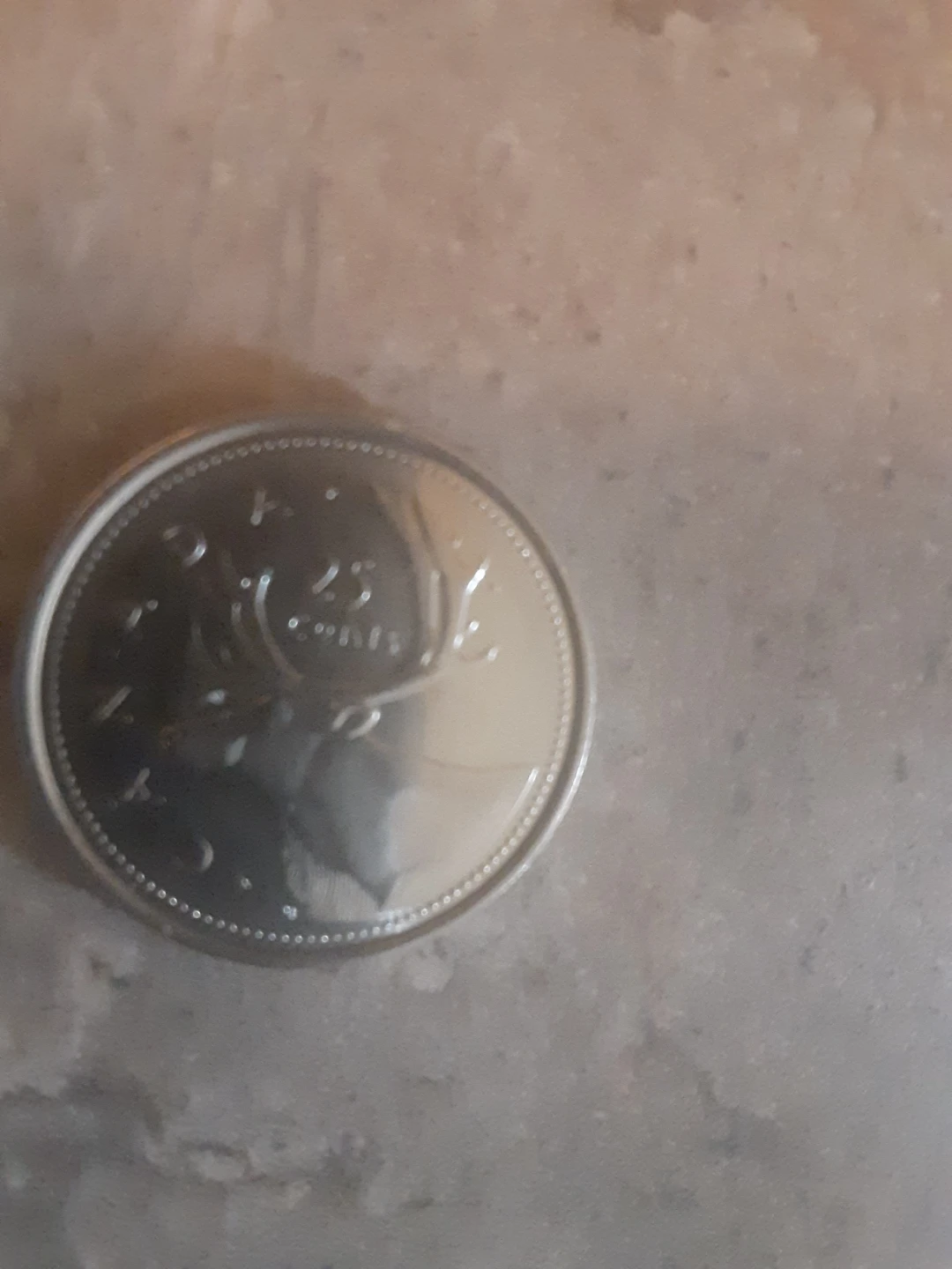 Canadian commerative quarter - photo 2