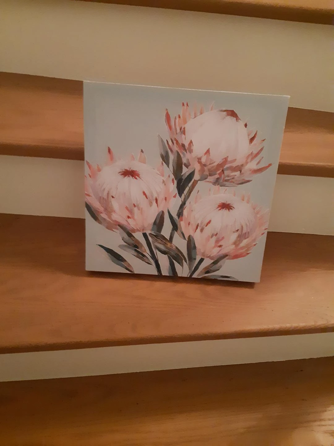 Canvas Wall Art Print - Protea Flowers