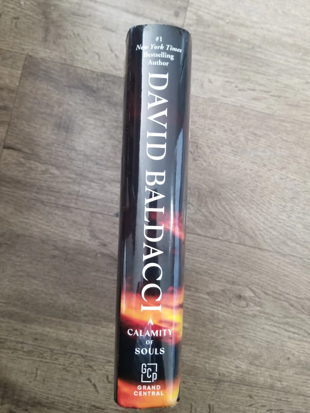 David Baldacci A Calamity Of Souls Novel - photo 3