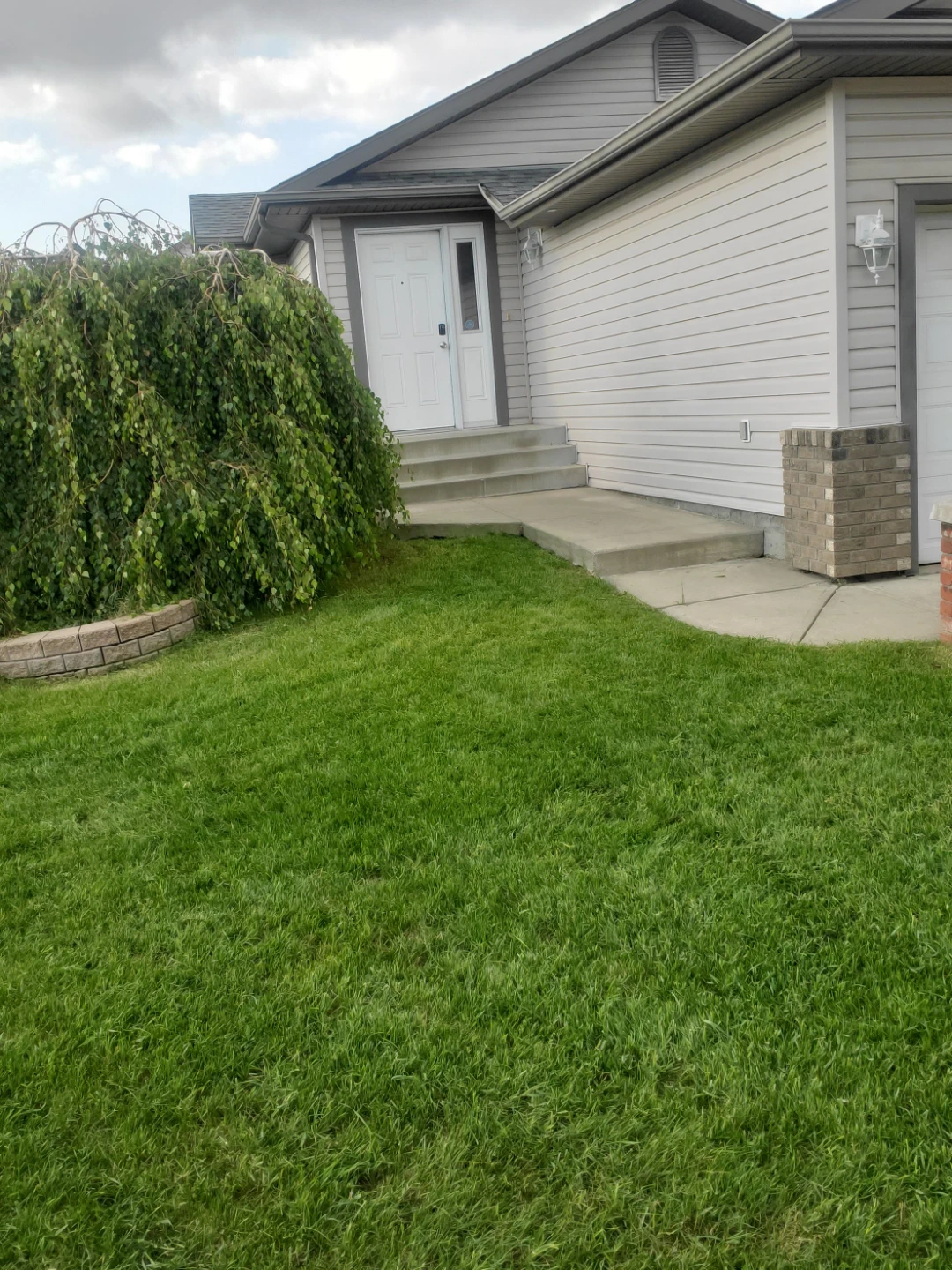 A Cut Above Lawn Care Spring/Summer Services 2025 - photo 3
