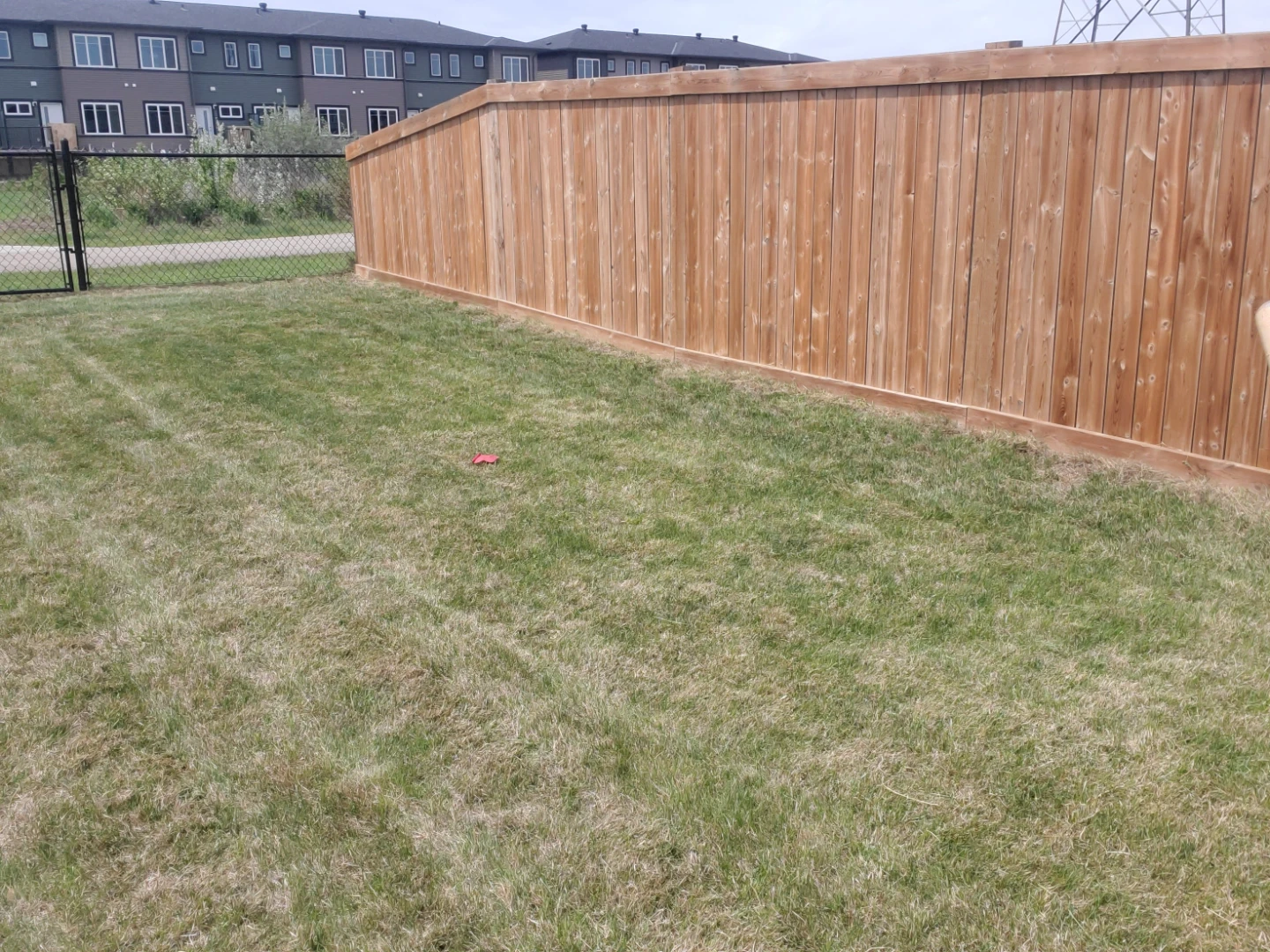 A Cut Above Lawn Care Spring/Summer Services 2025 - photo 5