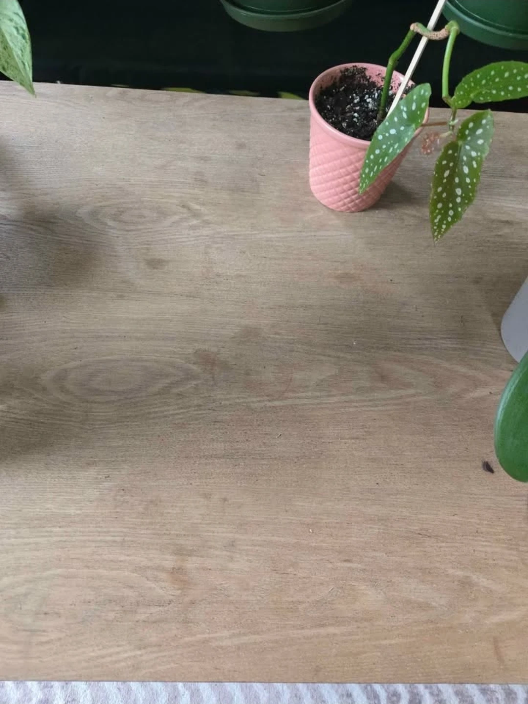 Rustic Wood Coffee Table by Ivy Bronx - photo 3
