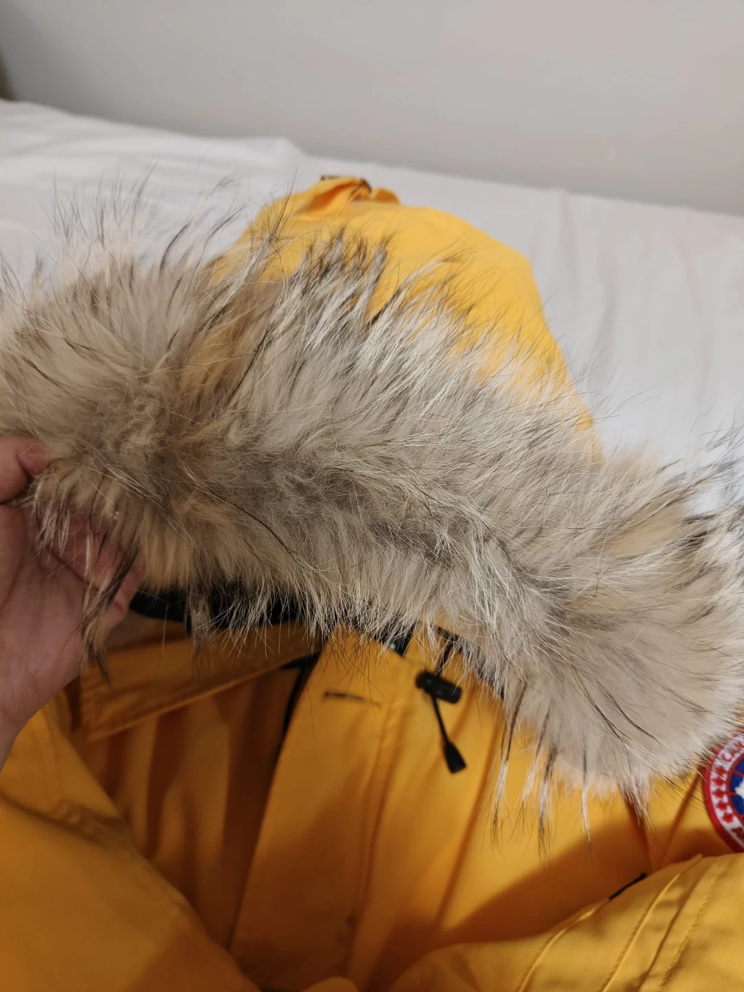 Canada Goose Yellow Expedition Parka Jacket M/M - photo 4