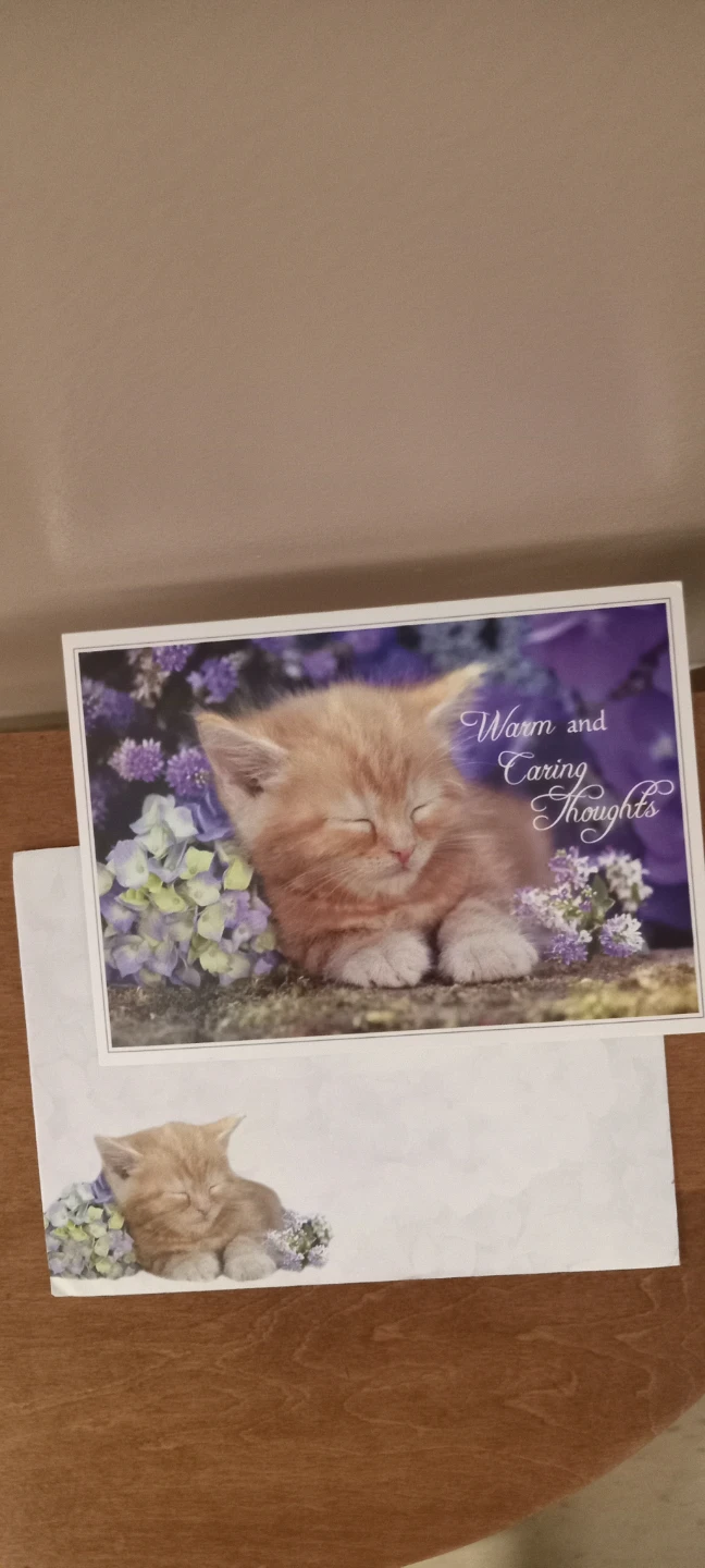 Get Well Soon Card with Kitten