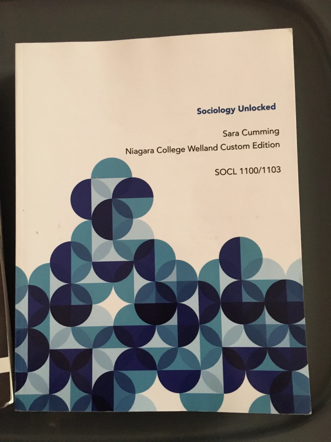 Sociology Unlocked Niagara College Welland Custom Edition