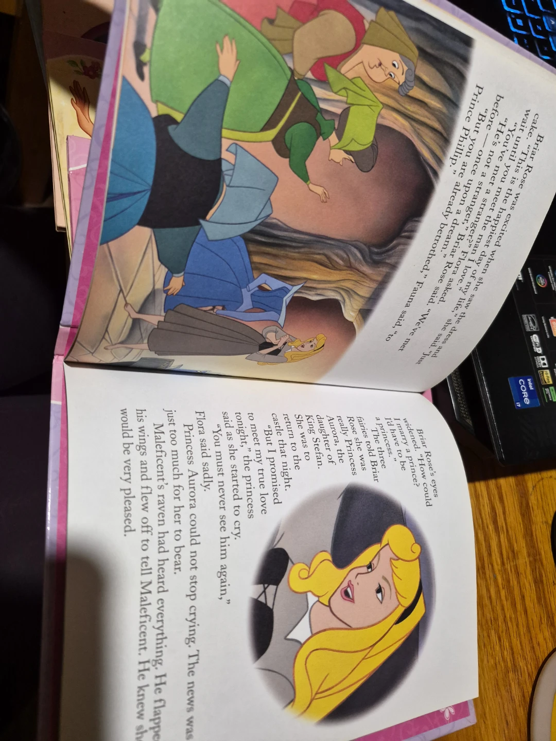 Disney Princess Storybook Collection - photo 3
