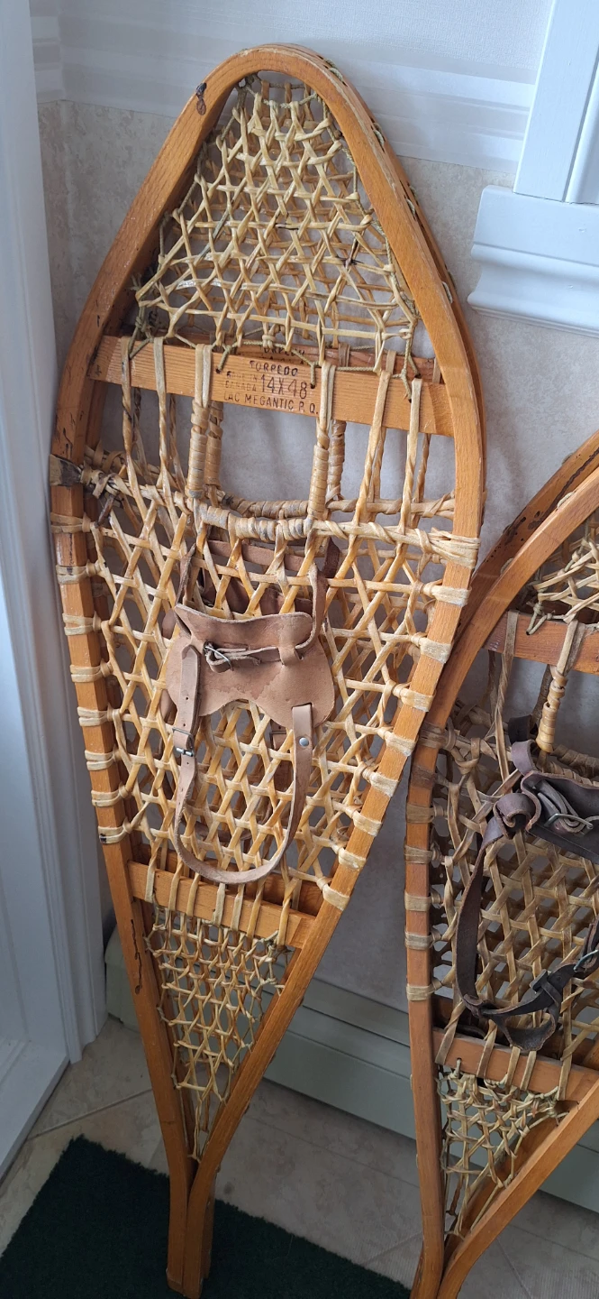 Snow shoes and poles