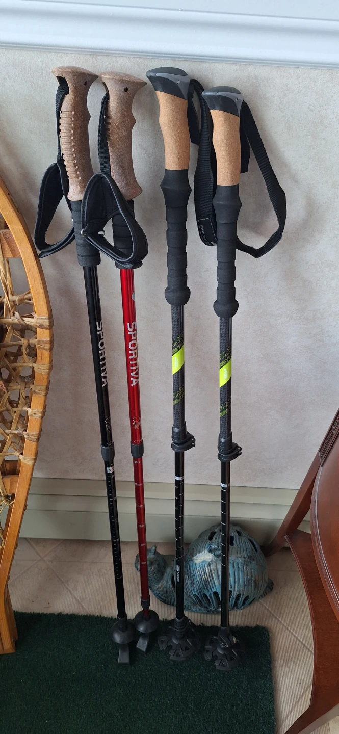 Snow shoes and poles - photo 2