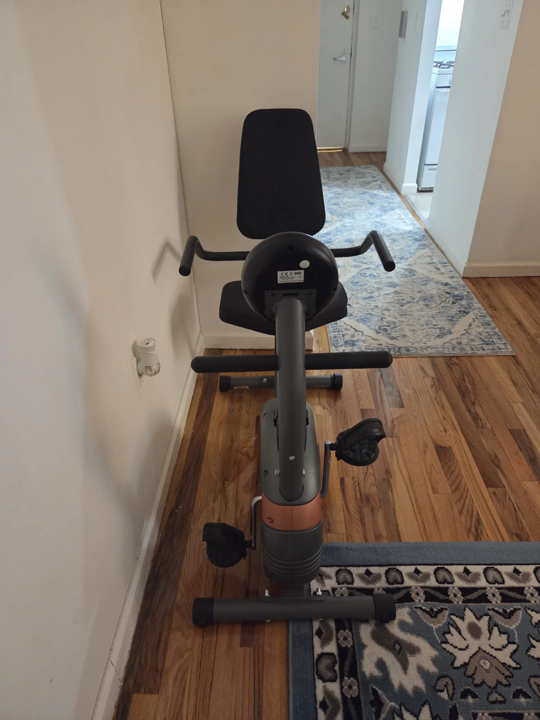 ProForm Recumbent Exercise Bike