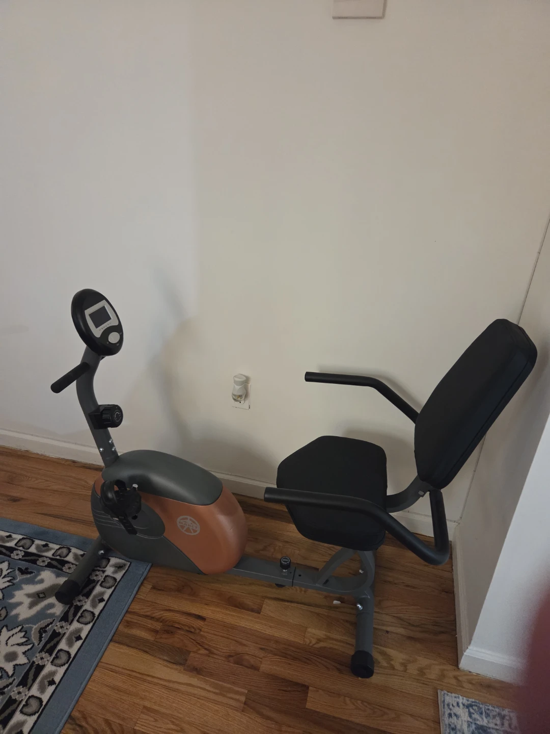ProForm Recumbent Exercise Bike - photo 2