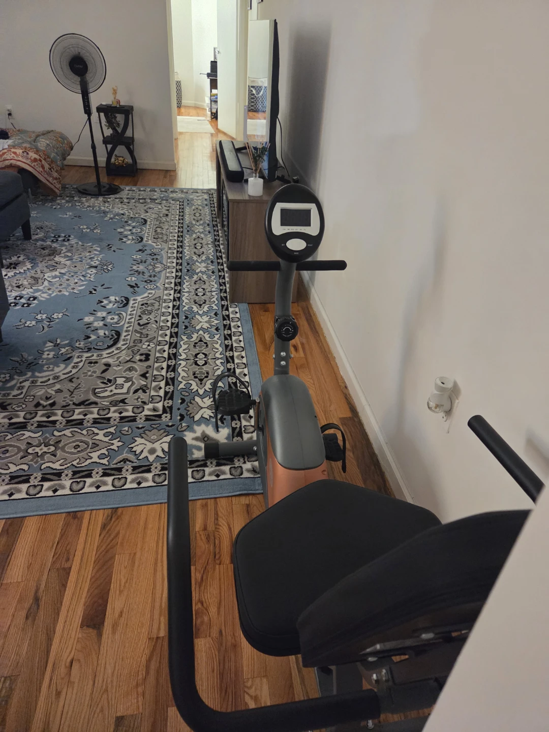 ProForm Recumbent Exercise Bike - photo 3