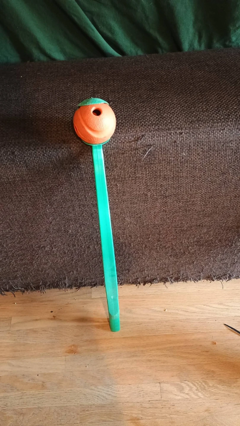 Dog fetch toy