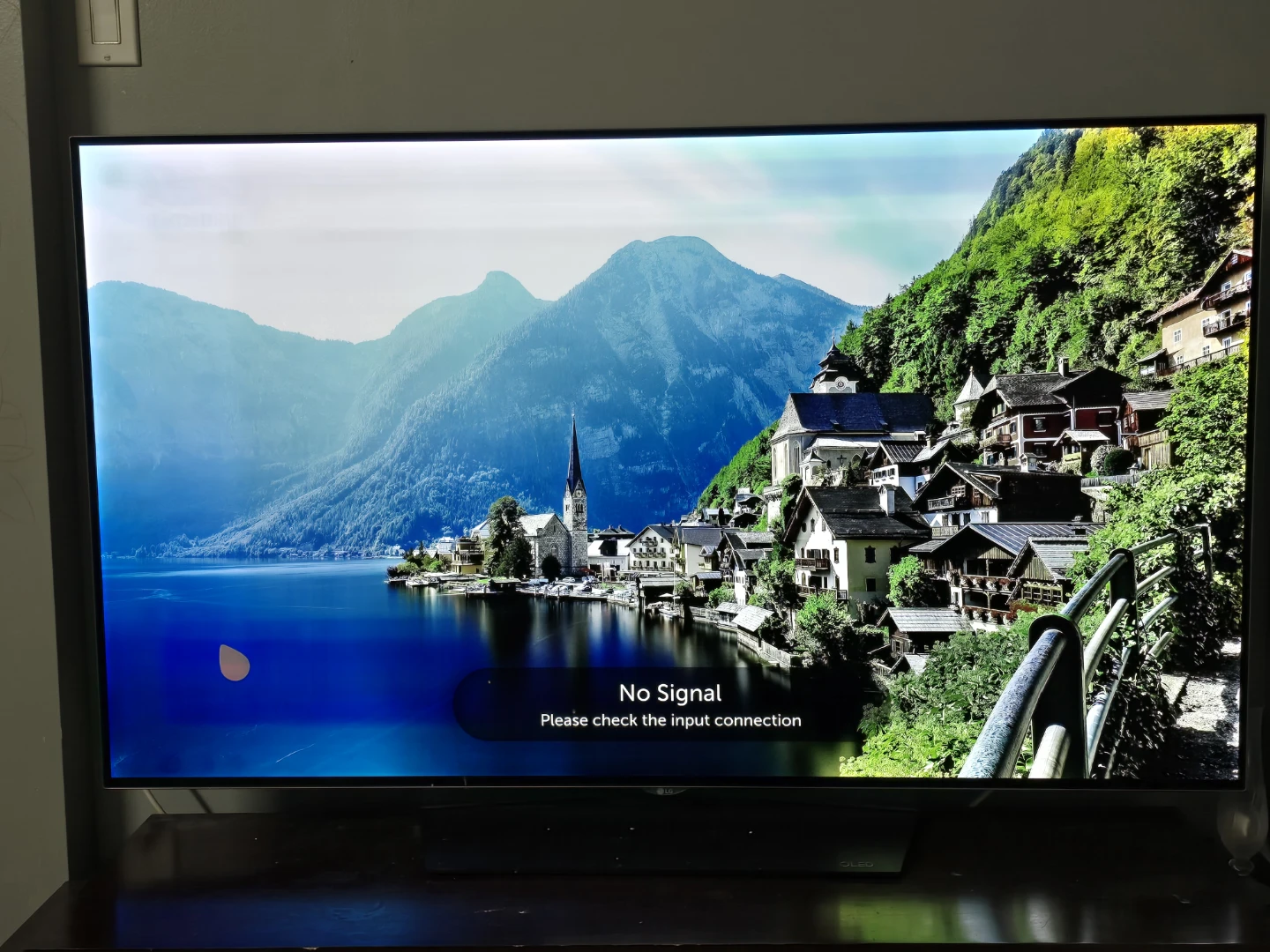 LG 55" OLED TV