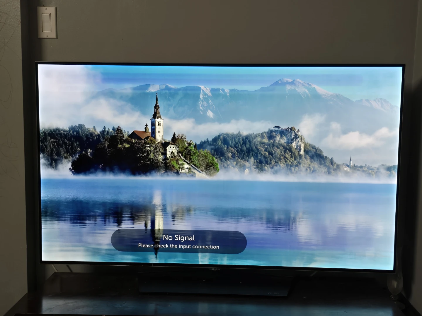 LG 55" OLED TV - photo 3