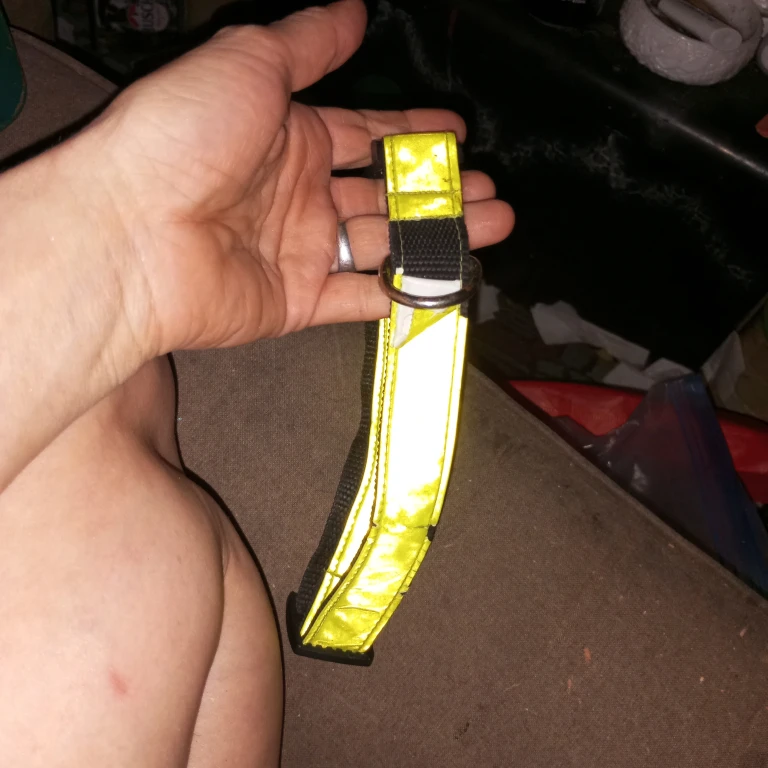 Reflective Dog Collar