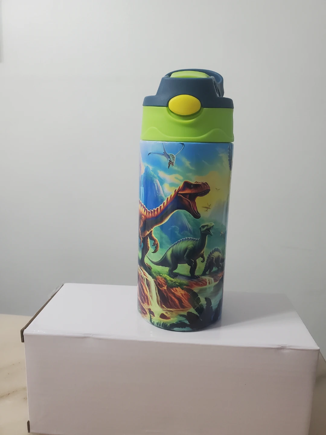Dinosaur Water Bottle for Kids