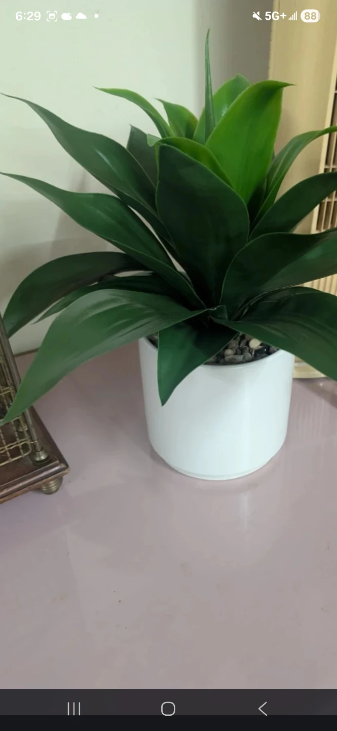 Artificial Plant in White Pot