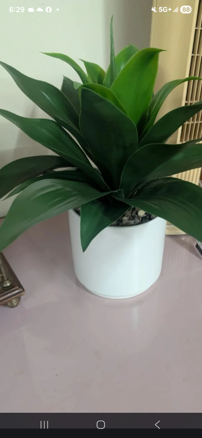 Artificial Plant in White Pot - photo 2