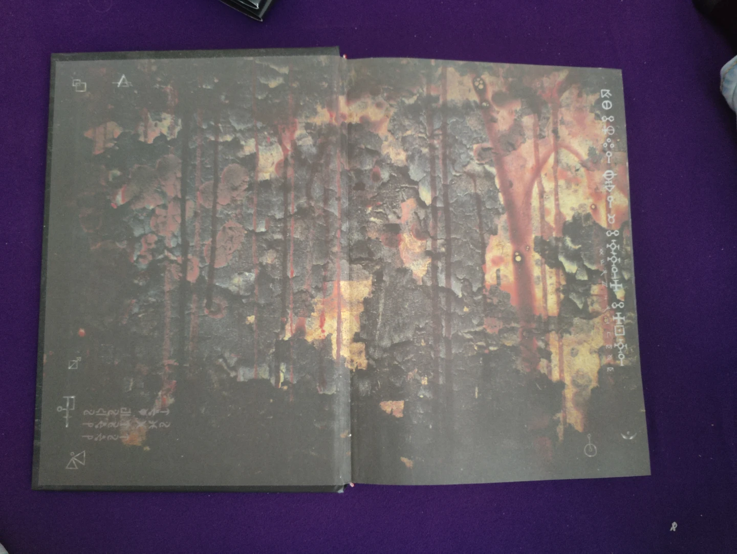 Gravity Falls book - photo 4