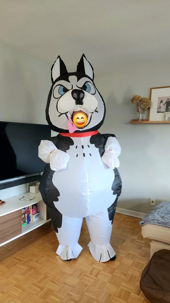 Rent Husky Inflatable Costume - Birthday, Costume, Baby Shower