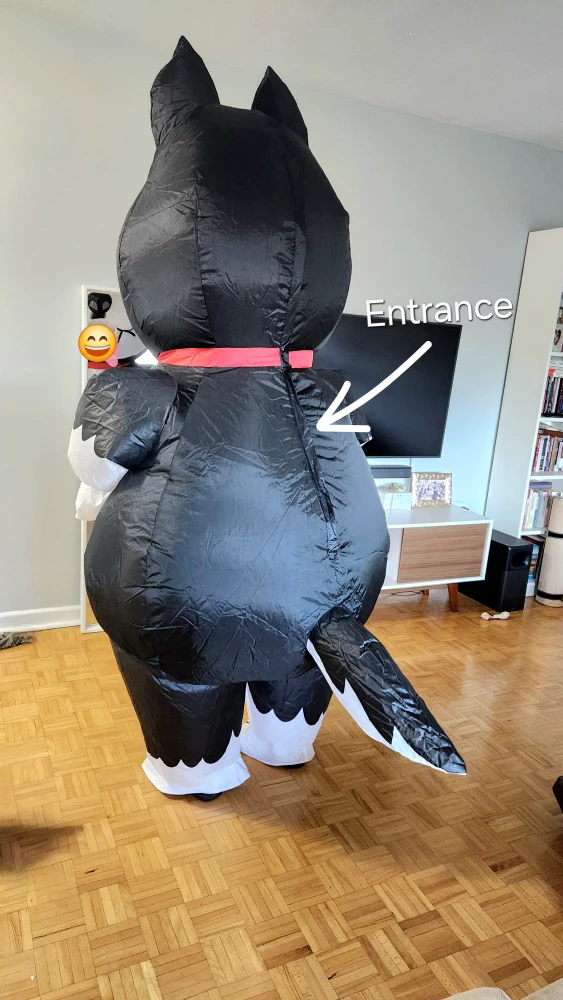 Rent Husky Inflatable Costume - Birthday, Costume, Baby Shower - photo 3