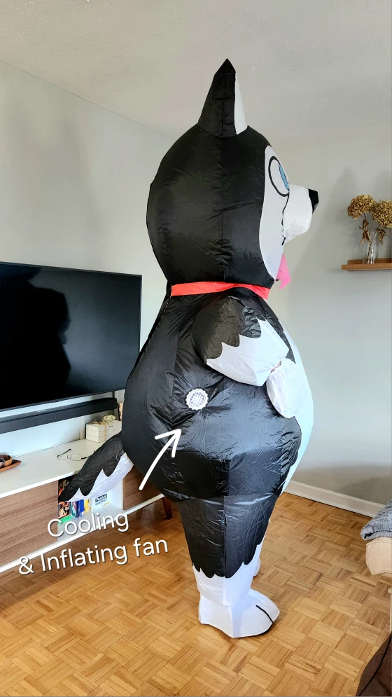 Rent Husky Inflatable Costume - Birthday, Costume, Baby Shower - photo 4