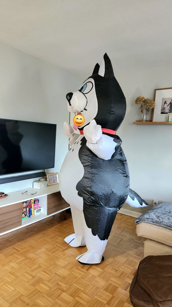 Rent Husky Inflatable Costume - Birthday, Costume, Baby Shower - photo 5