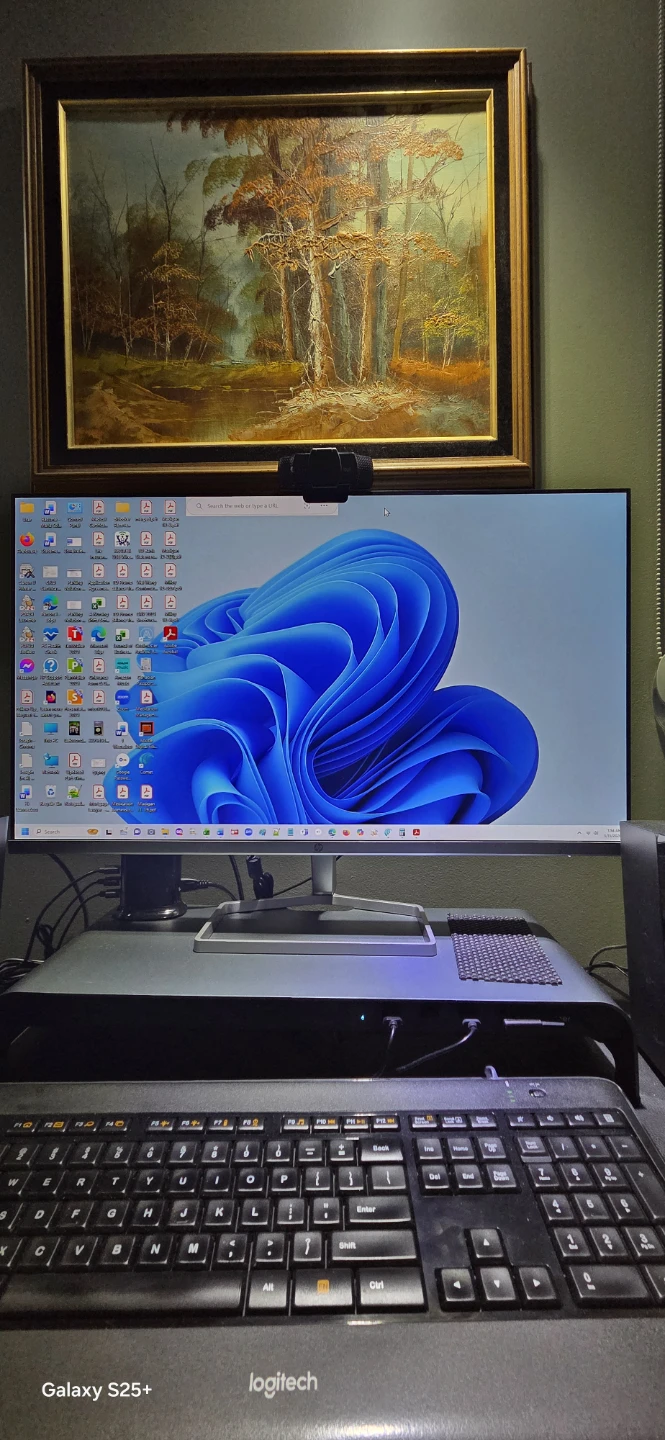 HP 24sf 24" IPS Monitor – Excellent Condition