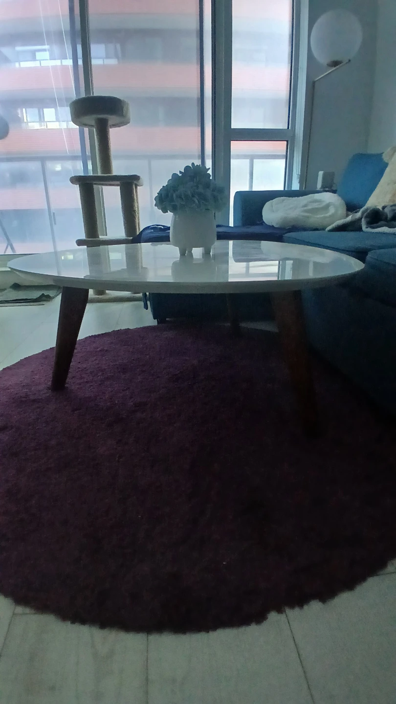Structube White Oval Coffee Table with Wooden Legs - photo 4