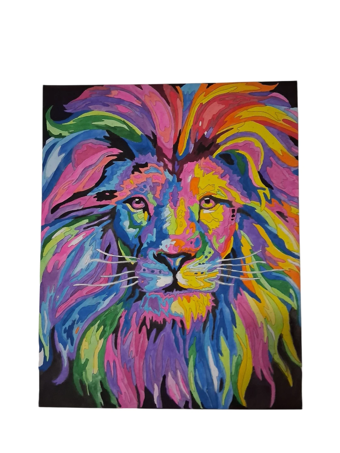 Colourful Lion Wall Art