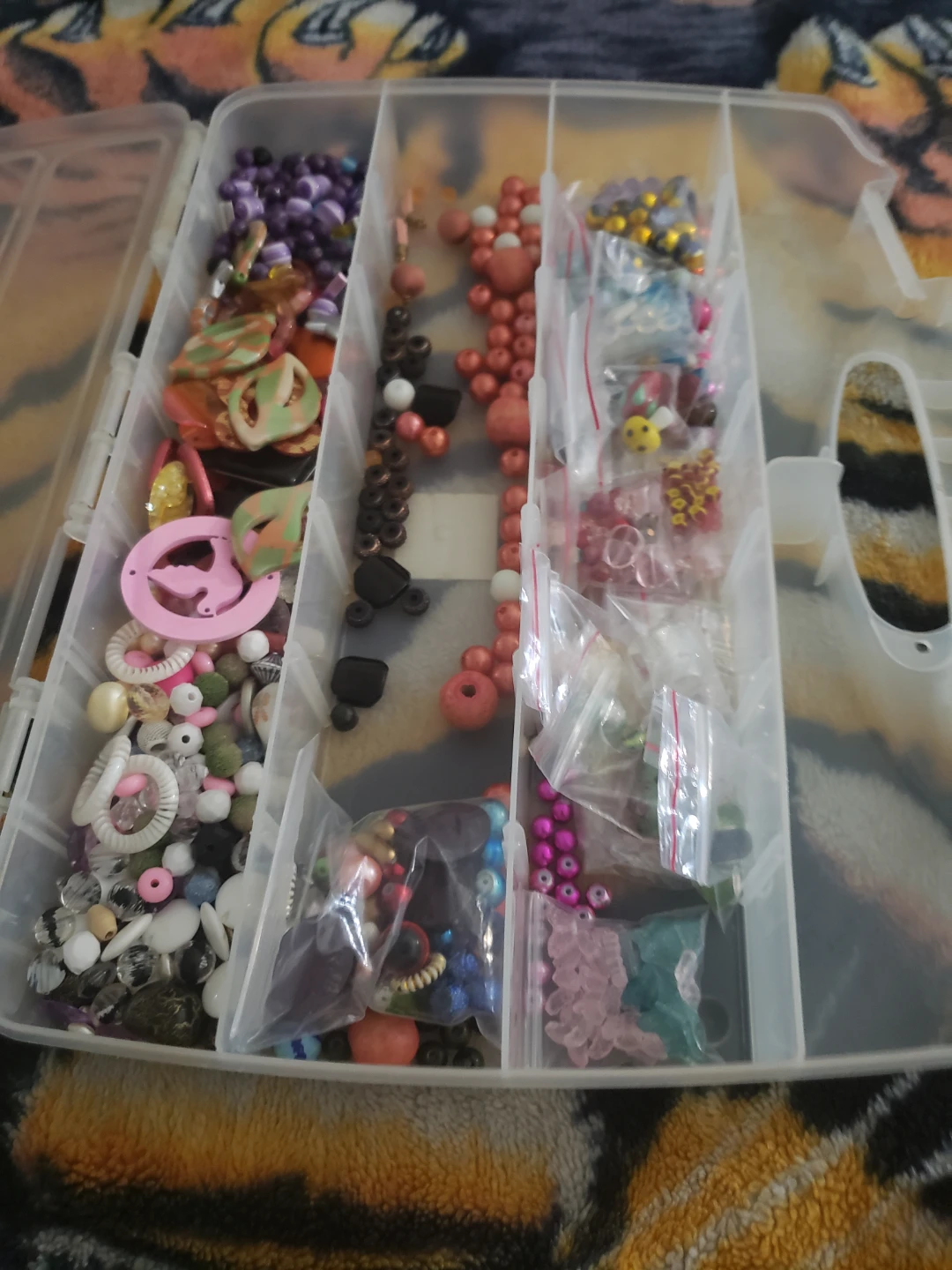 Crafting Bead Organizer with Assorted Beads
