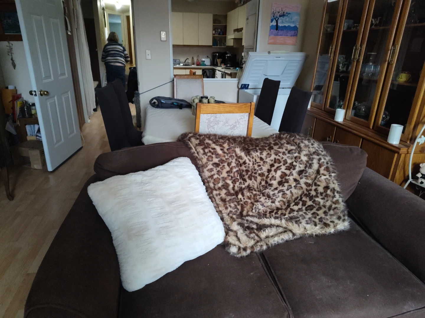 Leopard Print Throw Blanket and  four White Pillow