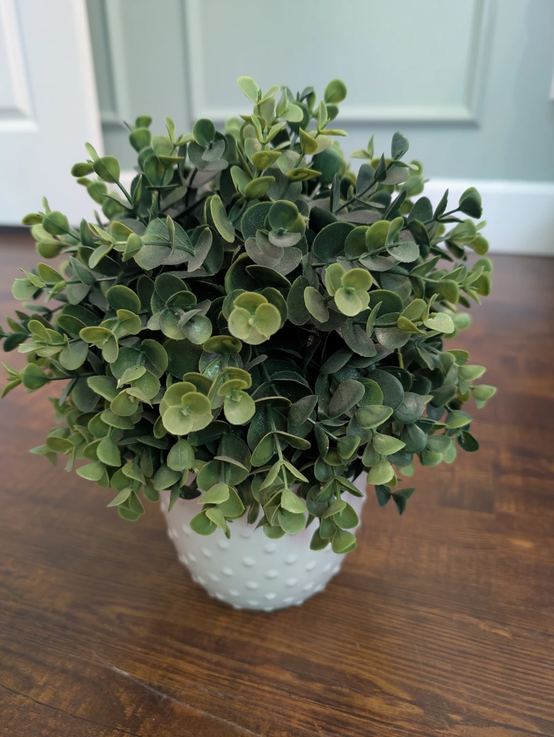 Artificial Eucalyptus Plant in White Hobnail Pot