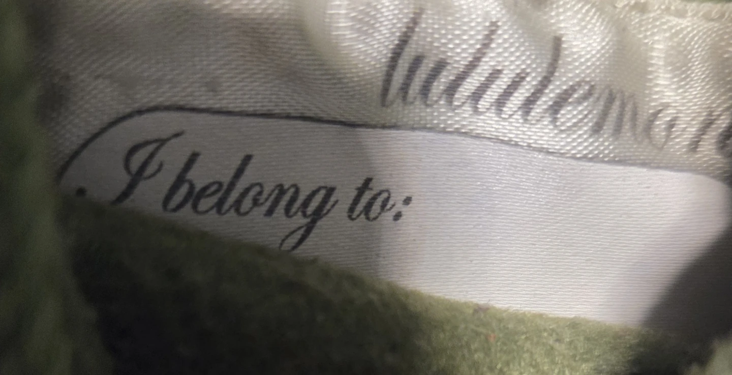 Lululemon Hoodie Green🥕 - photo 3