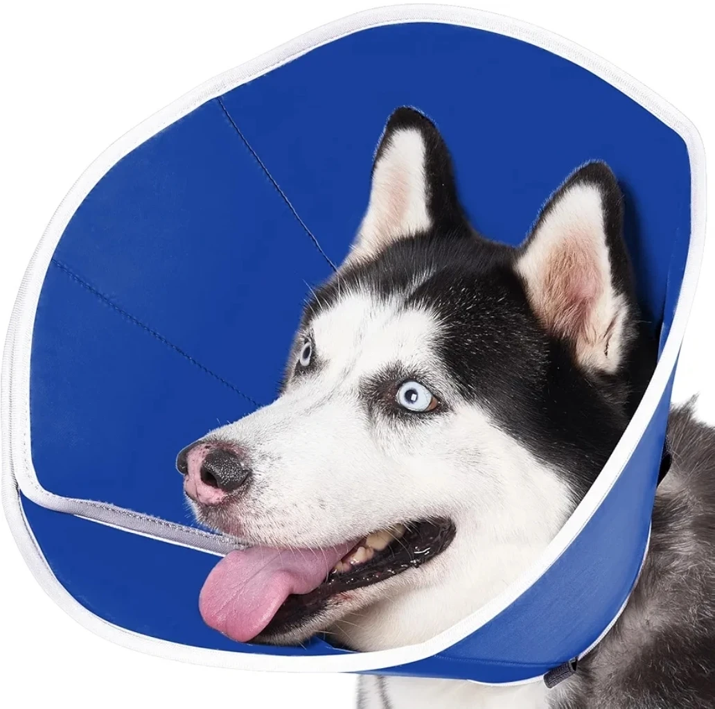Soft Dog Cone Collar after Surgery Large